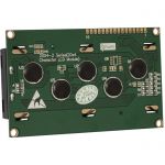 ЖК индикатор RH2004A-TNI Eng-Rus